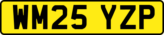 WM25YZP