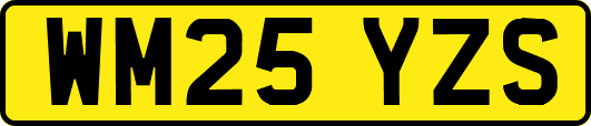 WM25YZS
