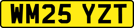 WM25YZT