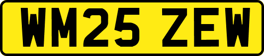 WM25ZEW