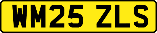 WM25ZLS