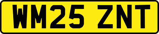 WM25ZNT