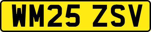 WM25ZSV