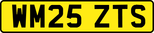 WM25ZTS