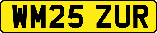 WM25ZUR