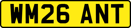 WM26ANT