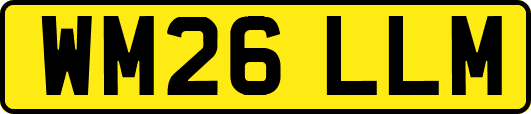 WM26LLM