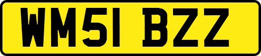 WM51BZZ