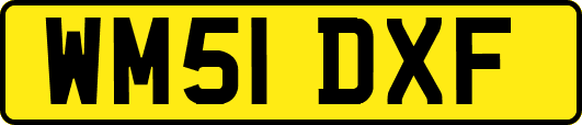 WM51DXF