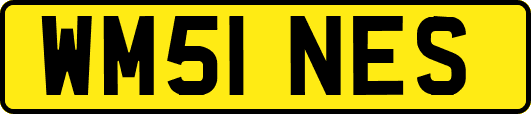 WM51NES