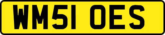 WM51OES