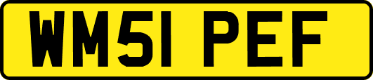 WM51PEF
