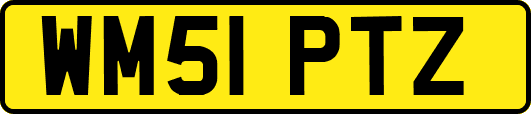 WM51PTZ