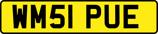 WM51PUE