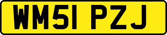 WM51PZJ