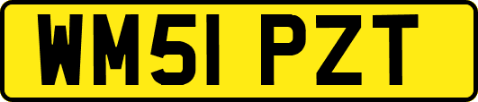 WM51PZT