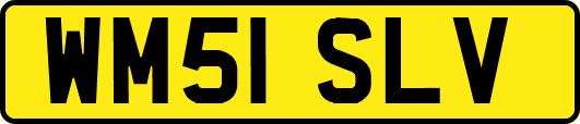 WM51SLV