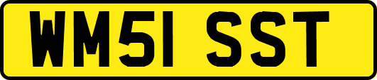 WM51SST