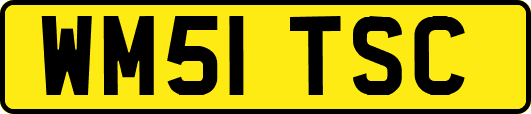 WM51TSC