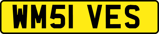 WM51VES