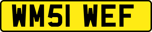 WM51WEF