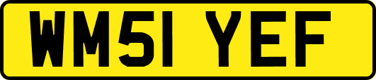 WM51YEF