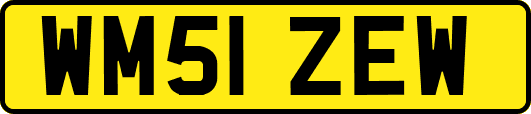 WM51ZEW