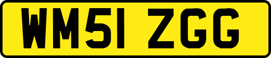 WM51ZGG