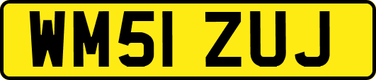 WM51ZUJ