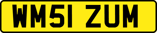 WM51ZUM