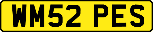 WM52PES