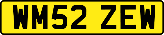 WM52ZEW