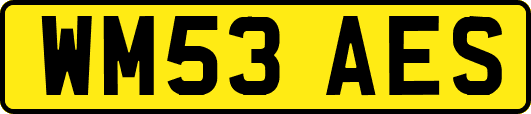 WM53AES