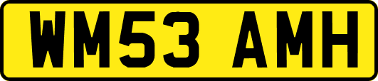 WM53AMH