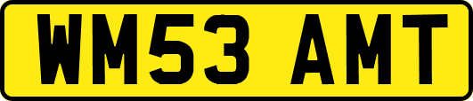 WM53AMT