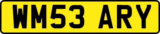 WM53ARY