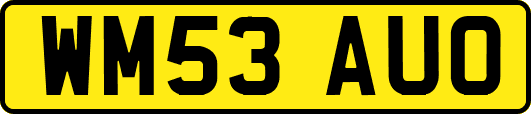 WM53AUO