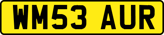 WM53AUR
