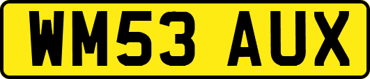 WM53AUX