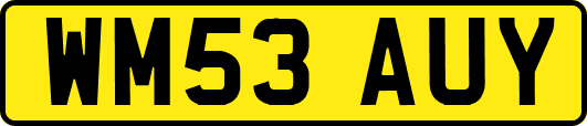 WM53AUY
