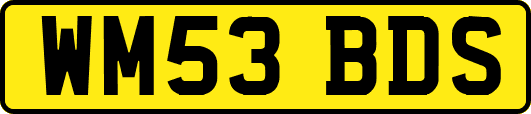 WM53BDS