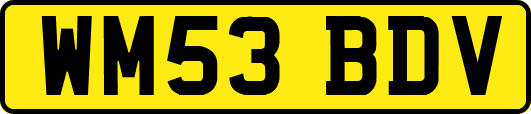 WM53BDV