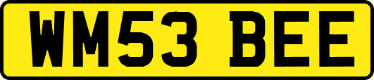 WM53BEE
