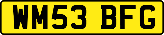 WM53BFG