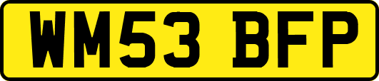 WM53BFP