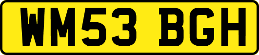 WM53BGH