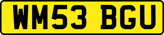 WM53BGU