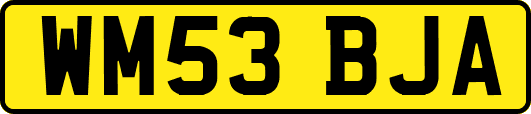 WM53BJA