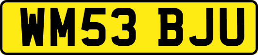 WM53BJU