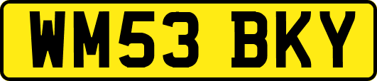 WM53BKY
